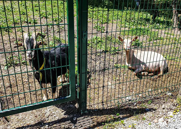 Urlaub Am Wallersee * Seekirchen am Wallersee